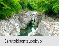 Sarutobisentsubokyo
