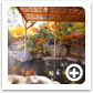 Outdoor hot spring2