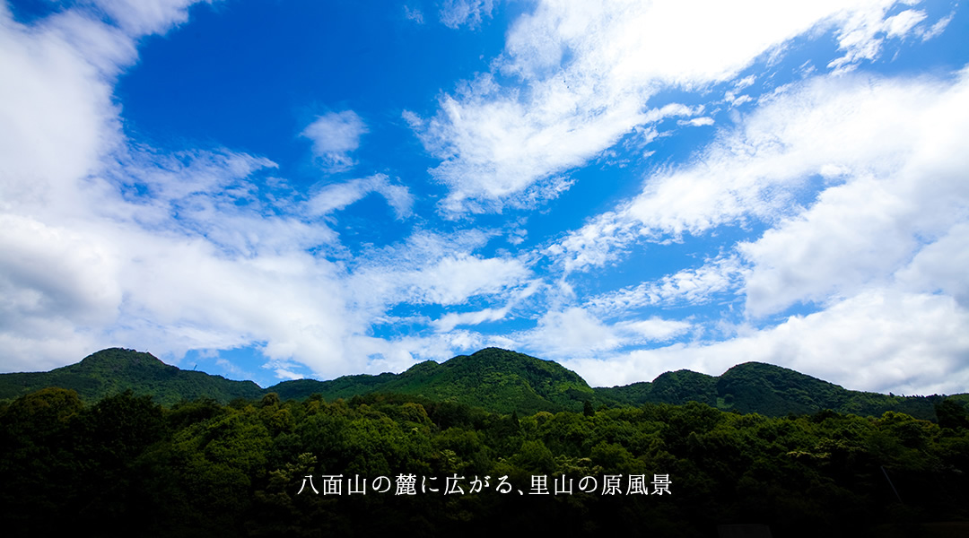 八面山の里山の風景