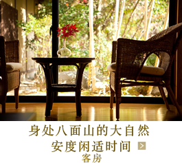 身处八面山的大自然 安度闲适时间 客房 