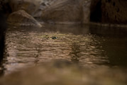 温泉简介